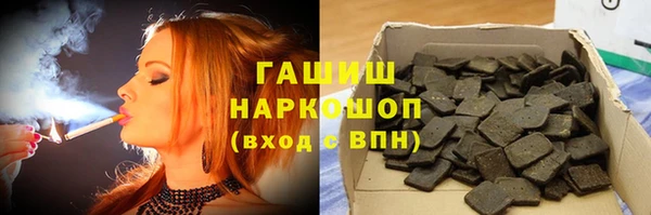 хмурый Аркадак