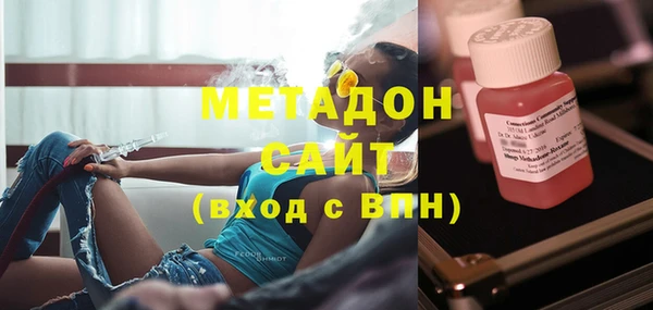 хмурый Аркадак