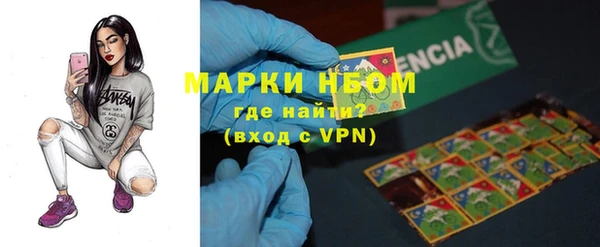 хмурый Аркадак