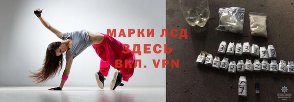 хмурый Аркадак