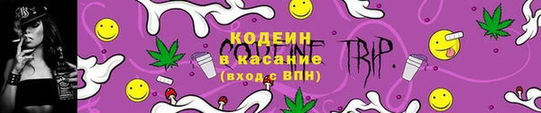 хмурый Аркадак