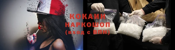 хмурый Аркадак