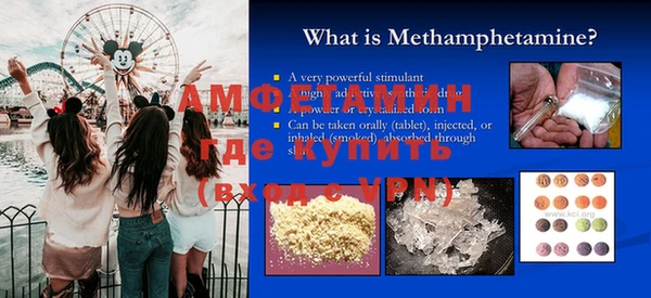 хмурый Аркадак