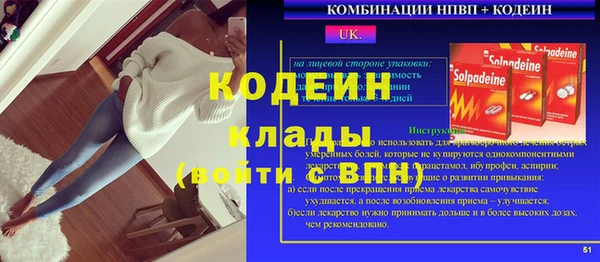 хмурый Аркадак