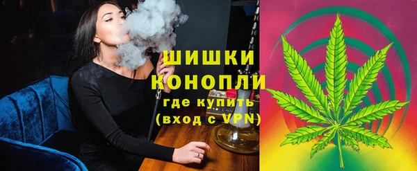 хмурый Аркадак