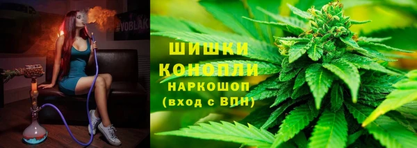 хмурый Аркадак